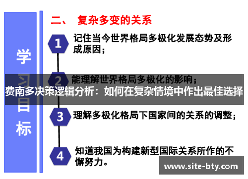 费南多决策逻辑分析：如何在复杂情境中作出最佳选择