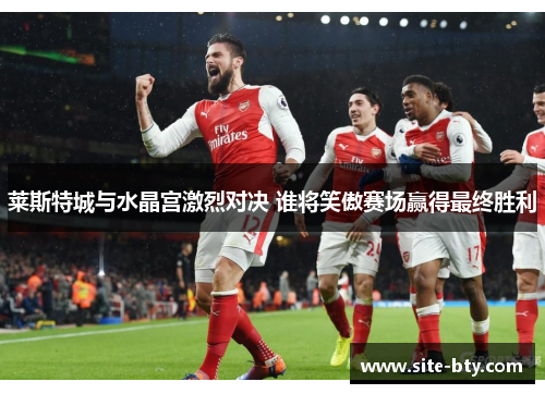 莱斯特城与水晶宫激烈对决 谁将笑傲赛场赢得最终胜利