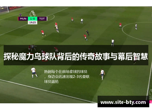 探秘魔力鸟球队背后的传奇故事与幕后智慧