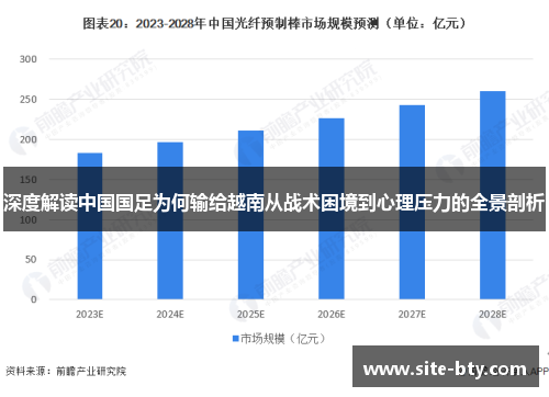 深度解读中国国足为何输给越南从战术困境到心理压力的全景剖析