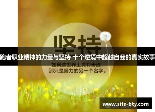 跑者职业精神的力量与坚持 十个逆境中超越自我的真实故事